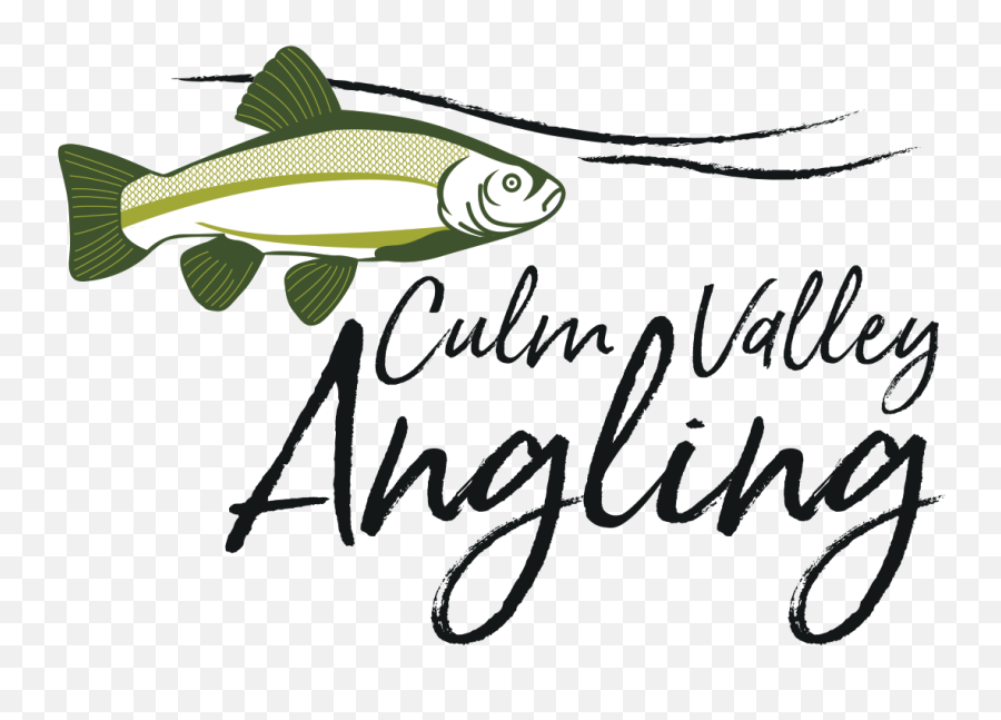 Culm Valley Angling - Cypriniformes Png,Leeda Icon Tripod