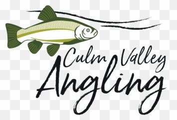 Culm Valley Angling - Cypriniformes png