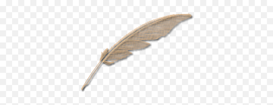 Quill Pen Png - Feather,Quill Pen Png