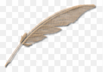 Quill Pen Png - Feather