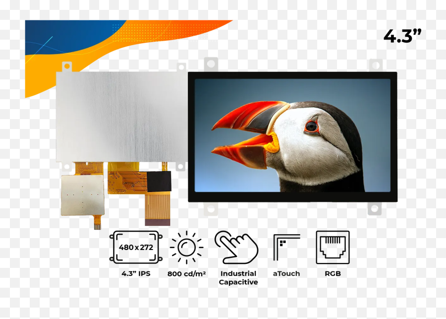 Rvt43hltfwca0 - Atlantic Puffin Png,Puffin Icon