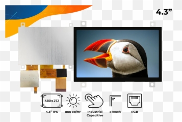 Rvt43hltfwca0 - Atlantic Puffin png