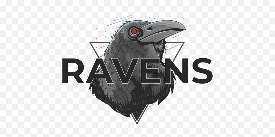 Ravens - Pc Virtual Proleague Hornbill Png,Ravens Logo Png