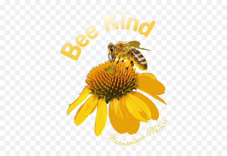 Bee Kind - Harmonious Nature Kids Tshirt For Sale By M Fitness Nutrition Png,Hoverfly Icon