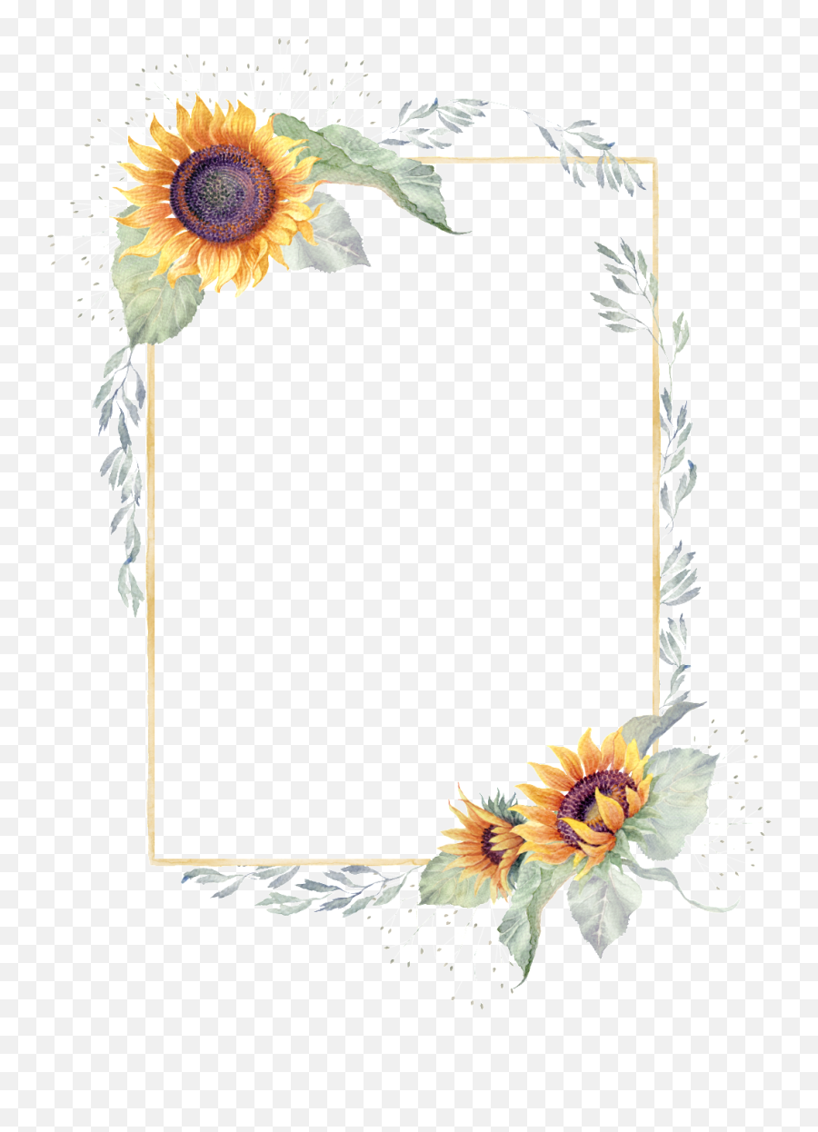 Download Free Png Sunflower Border - Clear Background Sunflower Border Transparent,Watercolor Sunflower Png