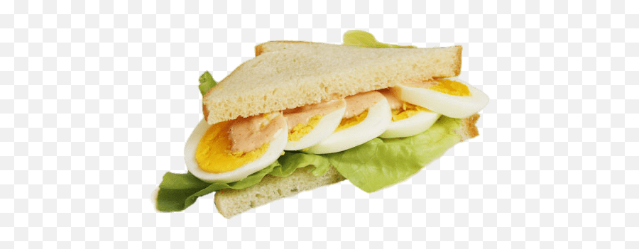 Egg Sandwich Transparent Png - Design Of Egg Sandwich,Sandwich Transparent Background