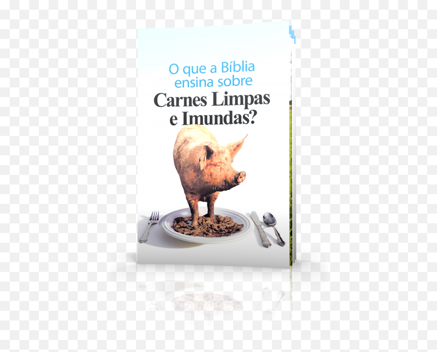 Quais Animais Designa A Bíblia Como U0027limposu0027 E U0027imundos - Pig Unclean Png,Biblia Png