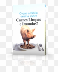 Quais Animais Designa A Bíblia Como U0027limposu0027 E U0027imundos - Pig Unclean Png,Biblia Png