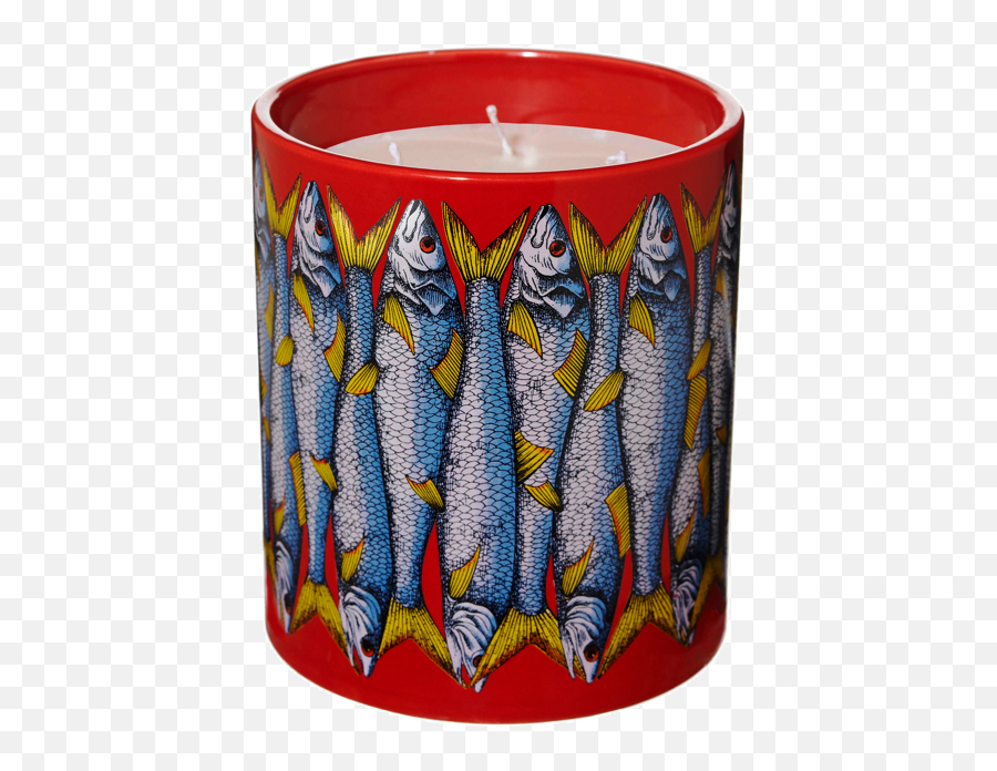 For Almost Five Hundred Dollars That Had Better Be The Best - Sardines With Candle Png,Dead Fish Png