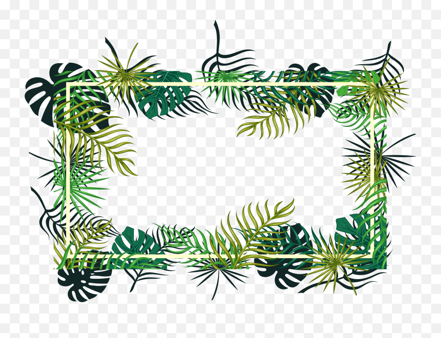 Download Hd Tropical Vector Ornament - Green Box Backgrounds Plants Frame Png,Tropical Png