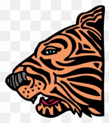 Tiger Face Head - Clip Art png