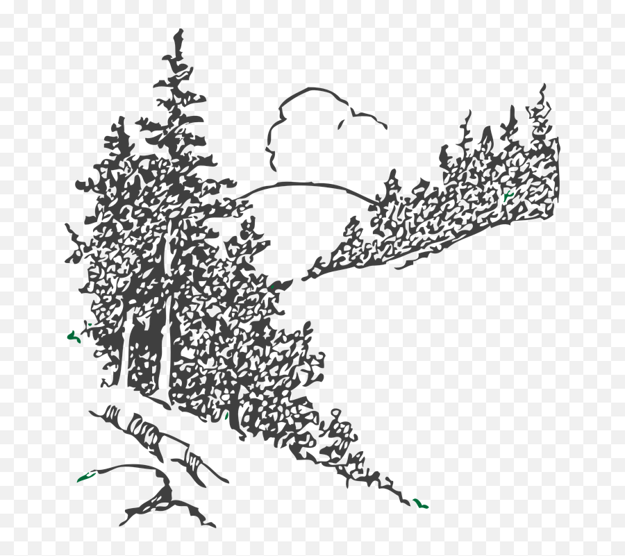 Trees Forest Pines Country - Free Vector Graphic On Pixabay Free Christmas Clip Art Png,Forest Clipart Png