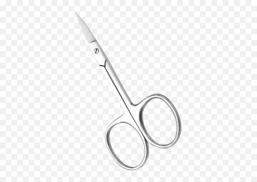 Download Hd Alex Ent Name Scissor Str Cvd - Scissors Scissors Png,Scissors Transparent