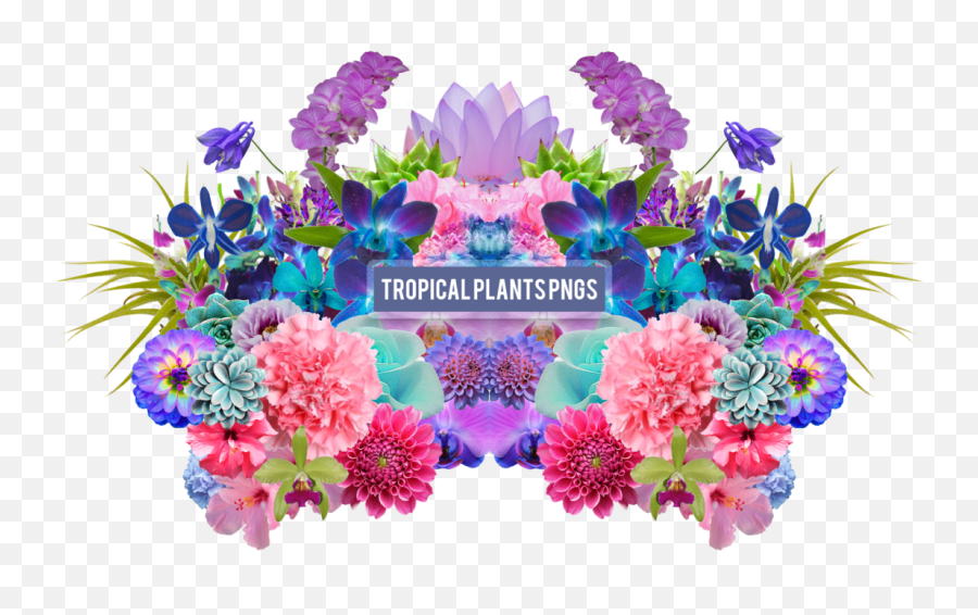 Flower Aesthetic Png 4 Image - Aesthetic Tropical Flowers Png,Aesthetic Png Tumblr