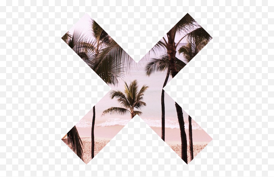 Transparent Stuff U2014 The Xx Symbol Palmtrees With - Pohon Kelapa Png,Palm Trees Transparent