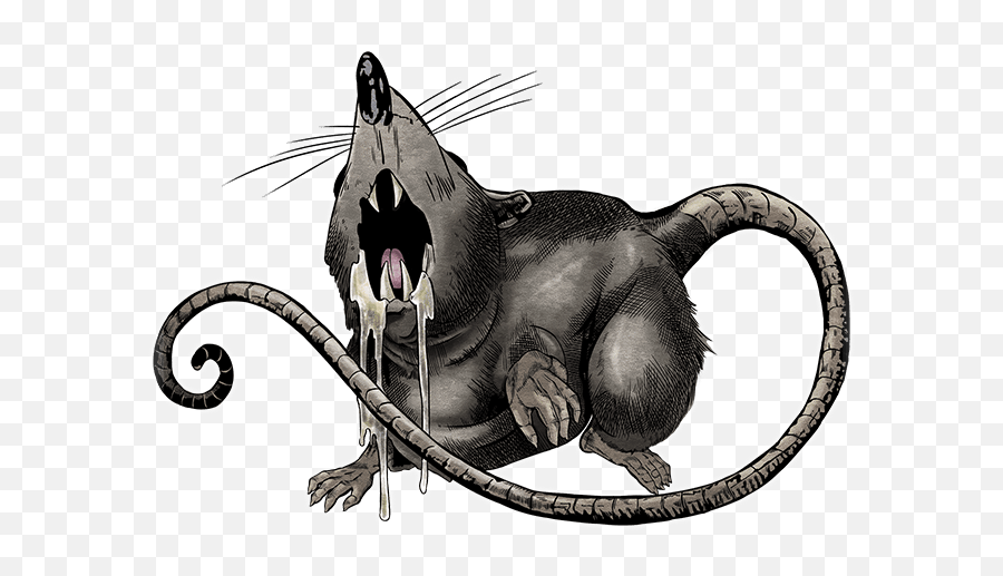 Rat - Cat Yawns Png,Rat Png