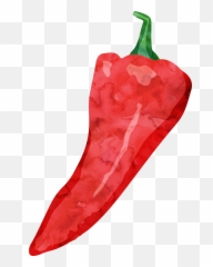 Png Royalty Free Stock Tabasco Pepper Cayenne Watercolor - Jalapeno Watercolor Pepper,Jalapeno Png