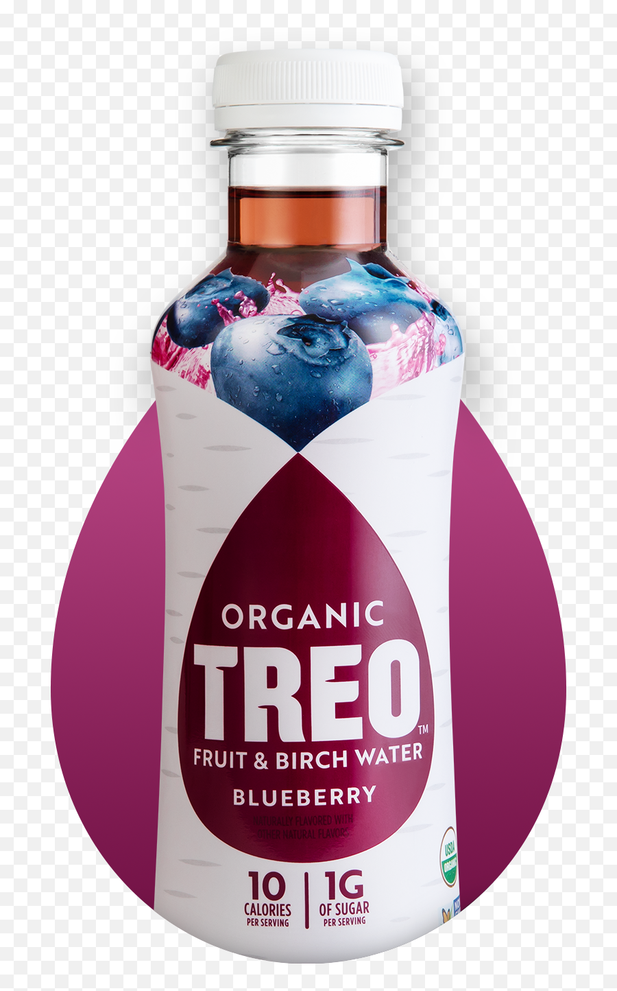 Blueberry - Treo Birch Water Png,Blueberry Png