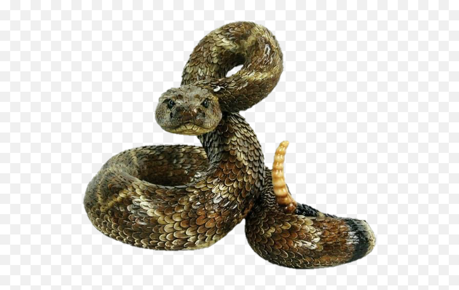 Cherry Png Tumblr - Diamondback Rattlesnake,Snake Emoji Png