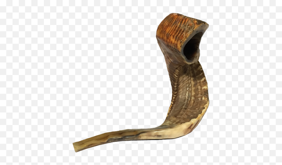 Shofar The Sound Of Covenant - Shofar Png,Shofar Png