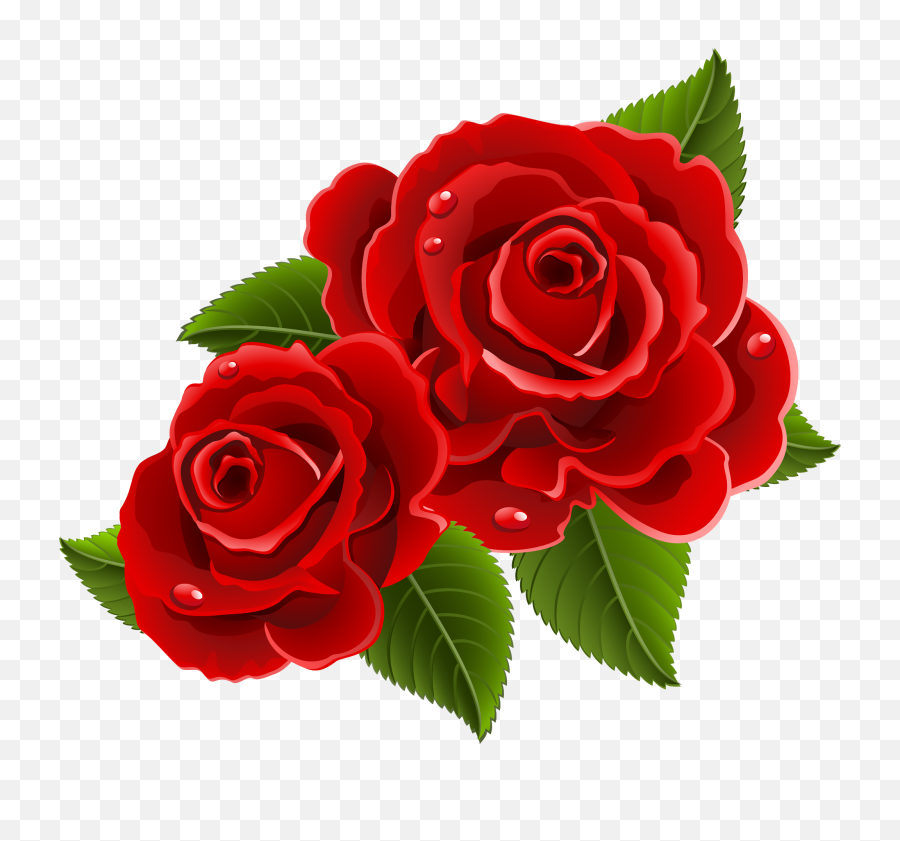 Rose Png Flower Images Free Download - Beautiful Red Rose Flowers,Flowers Png
