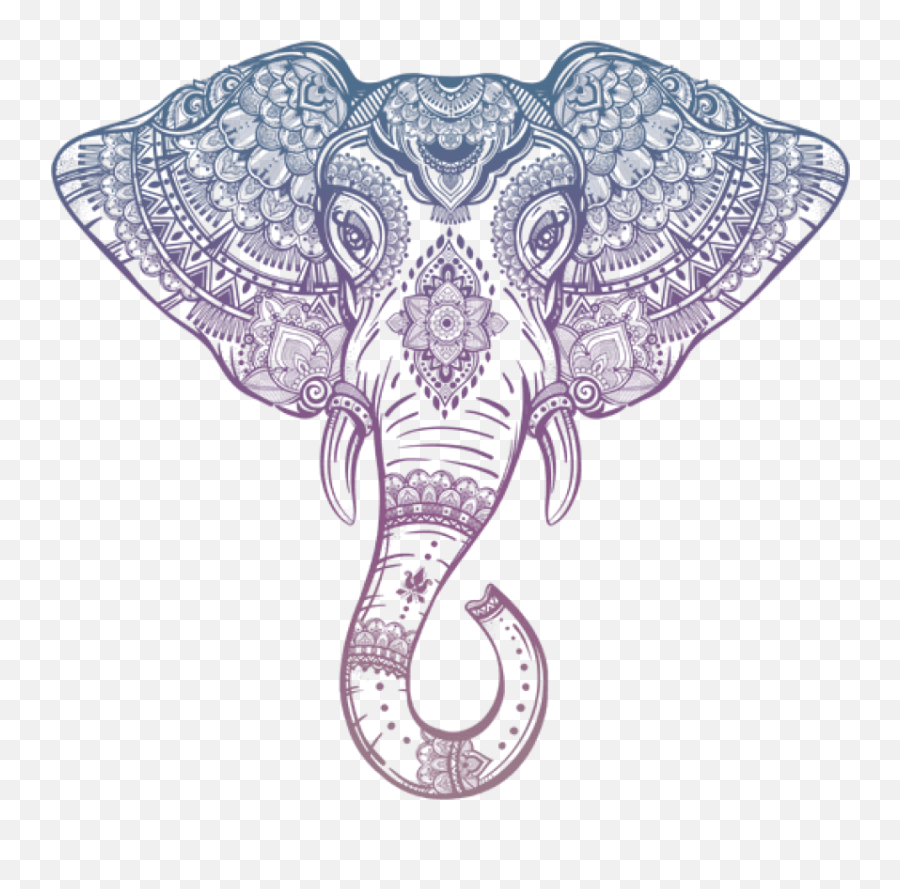 Indian Elephant Head Drawing Png Image - Tribal Elephant Head Drawing,Elephant Head Png