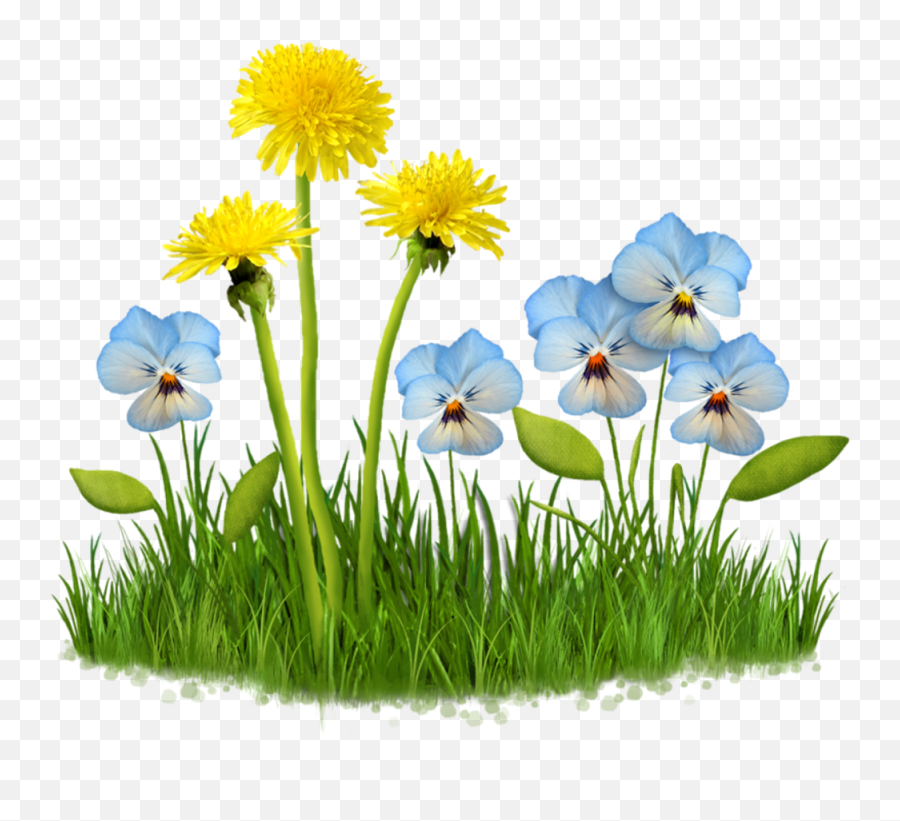 Download Flower Garden Plant Nature Grass Field Lawn - Gambar Musim Semi Animasi Png,Flower Garden Png