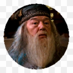 Hp Professor Albus Dumbledore - Roblox Fox Hound Special Force Group Png,Dumbledore Png