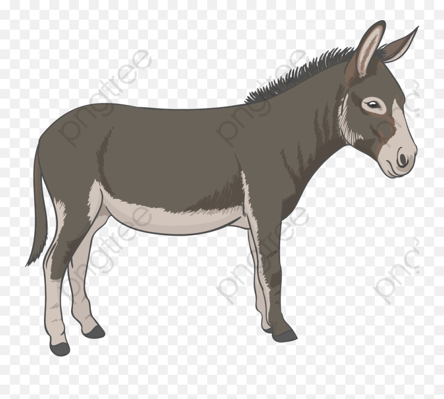 Democratic Donkey Png - Donkey Cartoon Transparent,Democratic Donkey Icon