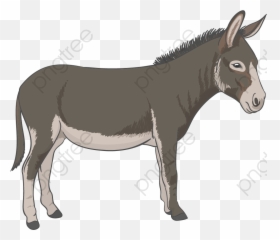 Democratic Donkey Png - Cartoon Transparent