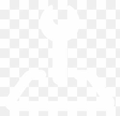 Service Tesla Canada - Language png