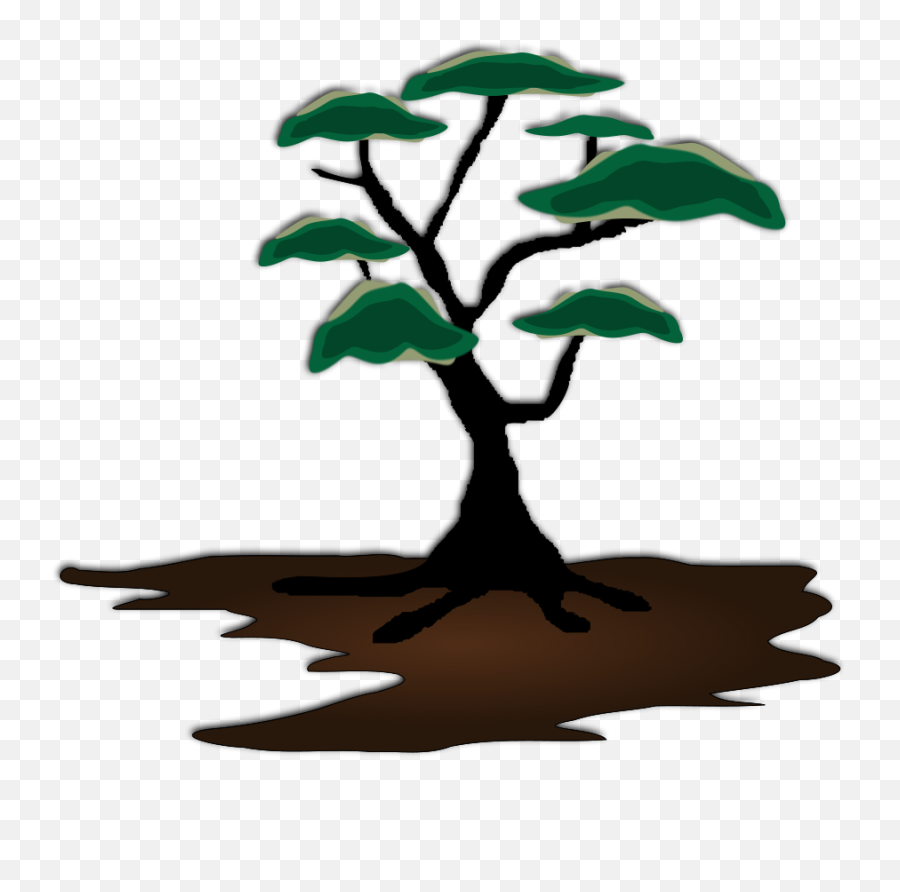 Plantleaftree Png Clipart - Royalty Free Svg Png African Tree Silhouette,Bonsai Tree Png