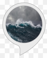 Amazoncom Sleep Sounds Ocean Waves Alexa Skills - Sea png