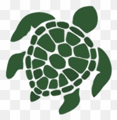 How You Can Help - Aesthetic Pink Turtle png