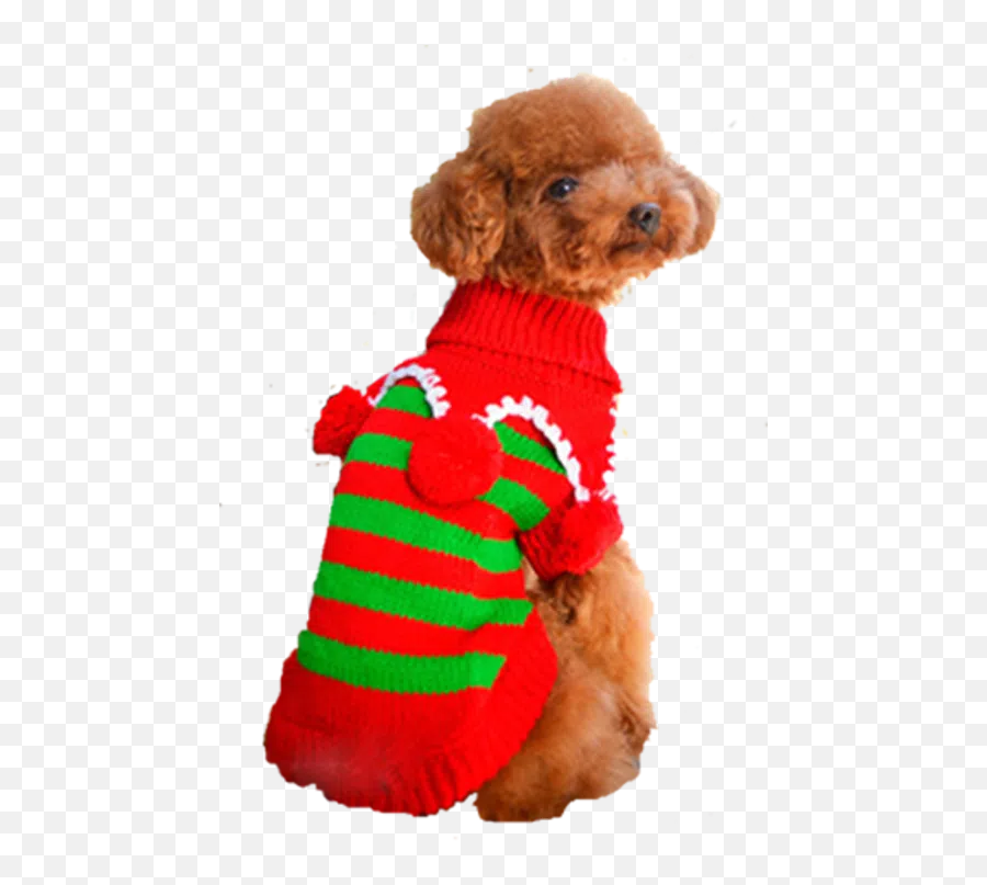 Dog Supplies - Deals For Dogs Sale Epethk Free Delivery Dog Clothes Png,Pawbo Duck Icon