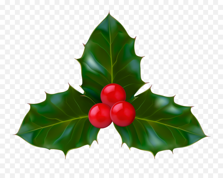 Png Holly Clipart