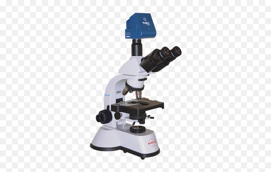 Microscope High Quality Png - Microscope Pathology Logo Png,Microscope Transparent Background