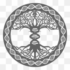 How To Get Started Biohacking - Odin Crispr Png,Odin Png