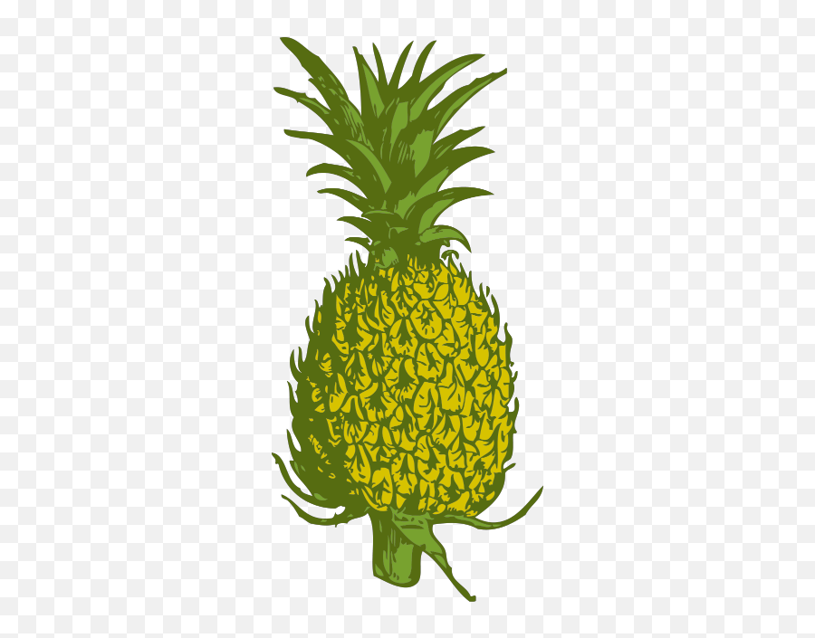 Pineapple Png - Pineapple Tree Clipart Png,Pineapple Clipart Png