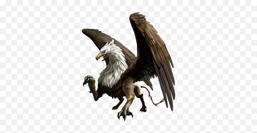 Griffin Png - Dogma Griffin,Griffin Png