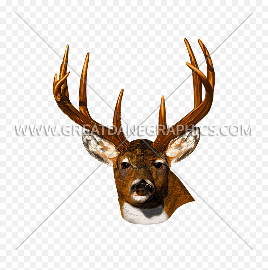 Deer Head Stare Production Ready Artwork For T - Shirt Printing Elk Png,Deer Skull Png