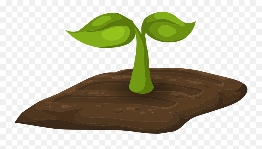 Sprouts Plants Tiny - Free Vector Graphic On Pixabay Soil Clipart Transparent Png,Plant Cartoon Png