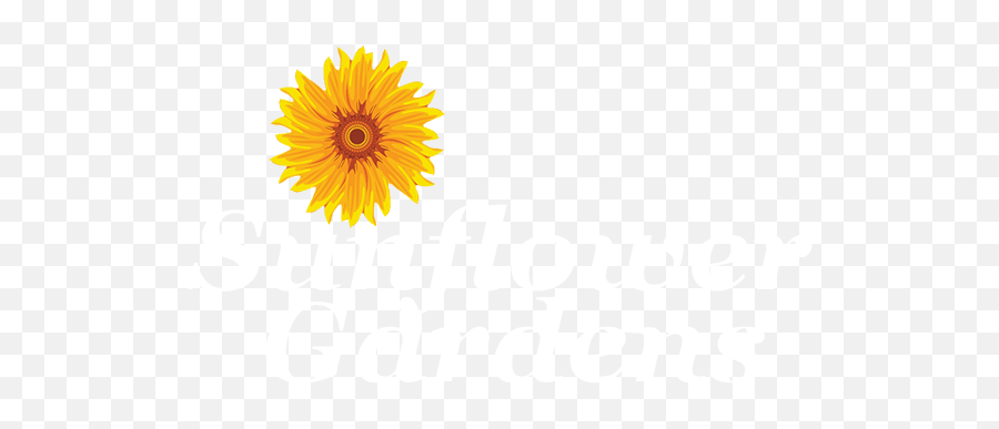 Sunflower Gardens An Alzheimers - Angela Png,Sunflower Logo