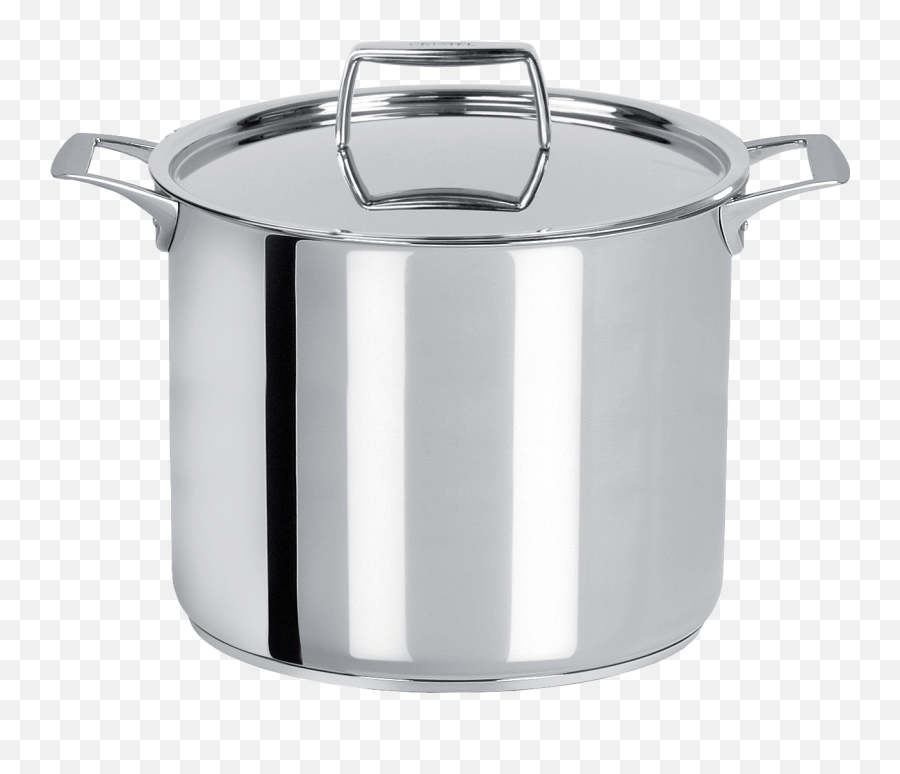 Stainless Cooking Pot - Fixed Castelu0027pro Cooking Pot Png,Cooking Pot Png