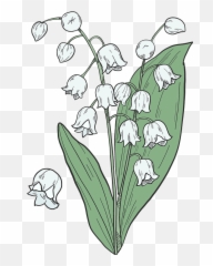 Clipart - Lily Of The Valley Clip Art Png,Lily Transparent