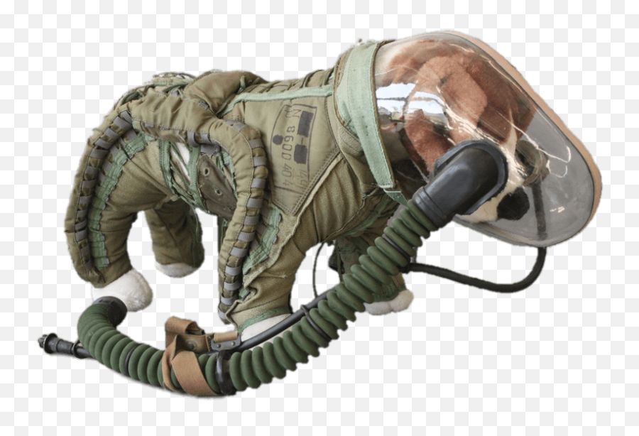 Space Suit For Dogs Transparent Png - Soviet Dog Space Suit,Space Helmet Png