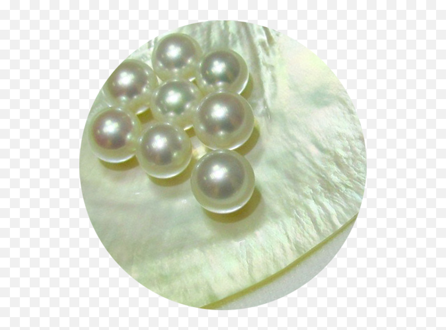 Naturally Pearls - Pearl Png,Pearls Png