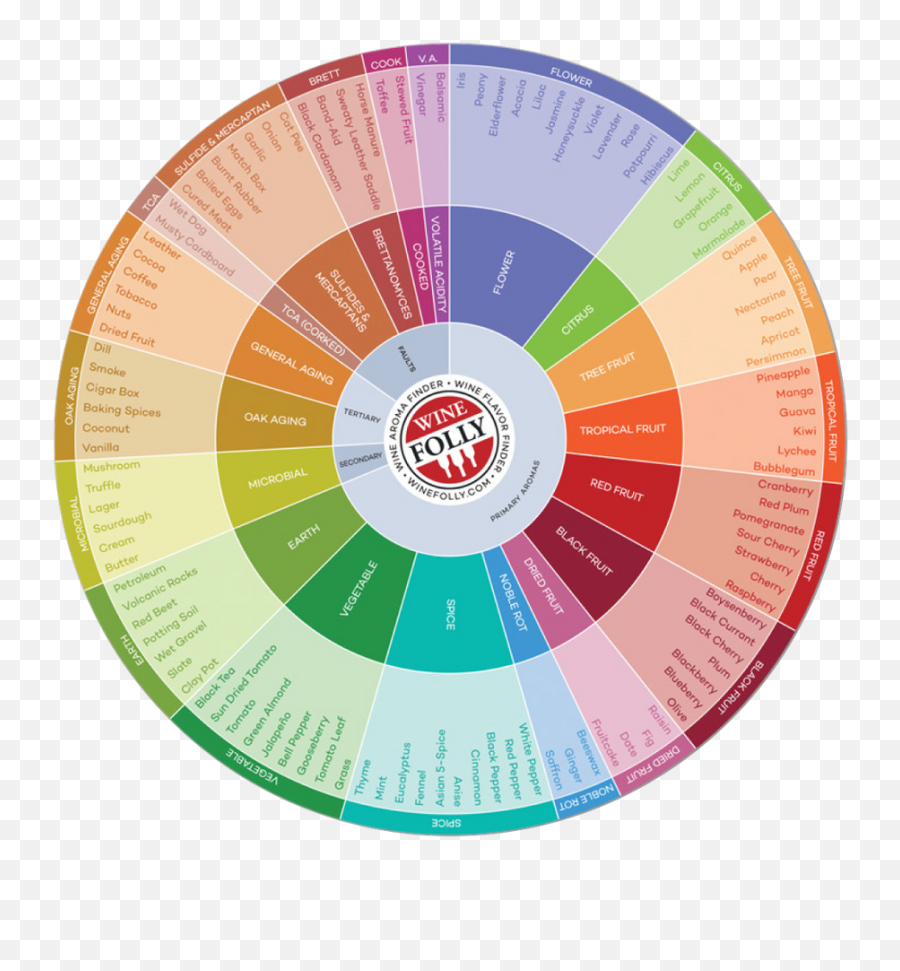 Solved Re Writing A Paragraphe Alongside Circle With V - Wine Flavor Chart Png,Vertical Line Png