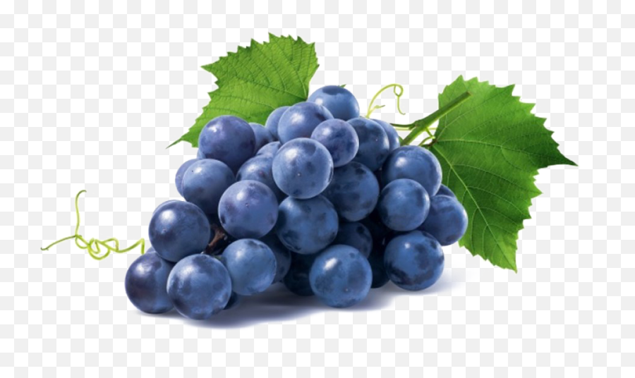 Grapes Transparent Image Png Play - El Evangelio Segun Los Apostoles,Grapes Transparent Background