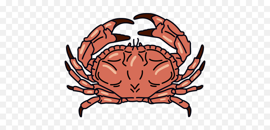 Crab Stroke Ocean Animal - Transparent Png U0026 Svg Vector File Dungeness Crab,Crab Png